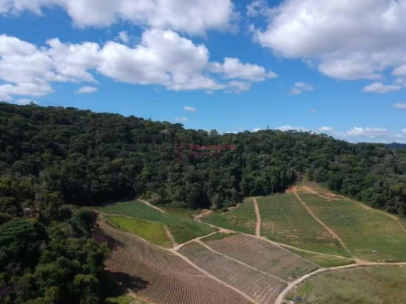 Imagem Imóvel à Venda, 558.000 m² em Pedra Azul - Domingos Martins Imagem Imóvel à Venda, 558.000 m² em Pedra Azul - Domingos Martins