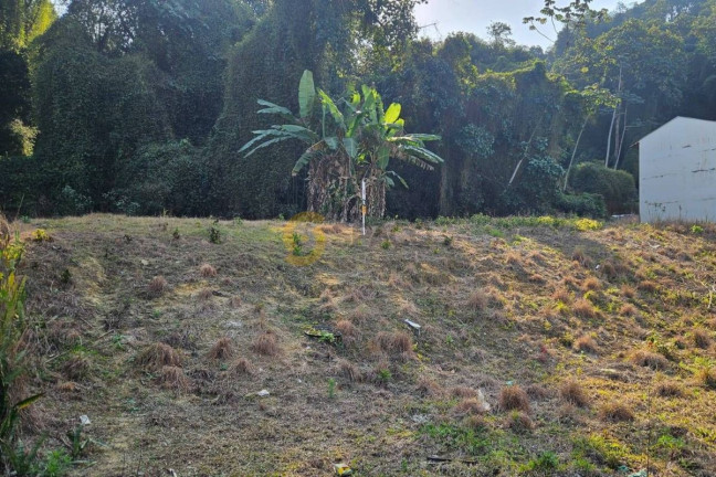 Imagem Terreno à Venda,  em Três Rios Do Sul - Jaraguá Do Sul