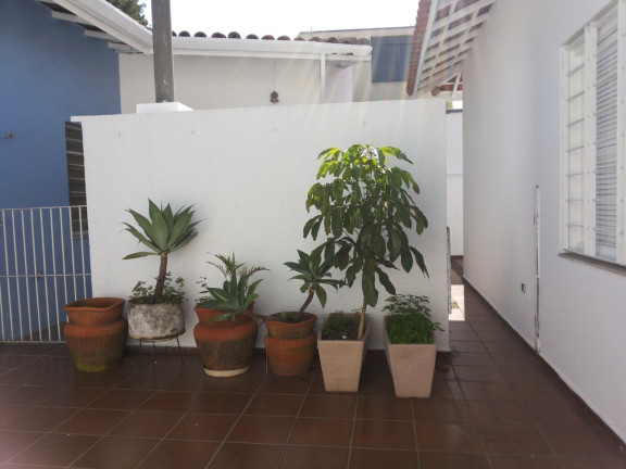 Imagem Casa com 3 Quartos à Venda, 320 m² em Moema - São Paulo