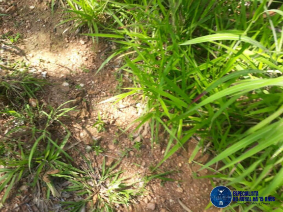 Imagem Chácara à Venda, 3 m² em Setor Central - Itapuranga Imagem Chácara à Venda, 3 m² em Setor Central - Itapuranga