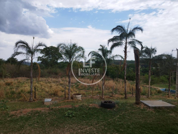 Imagem Chácara com 3 Quartos à Venda, 12.000 m² em Bonfinópolis