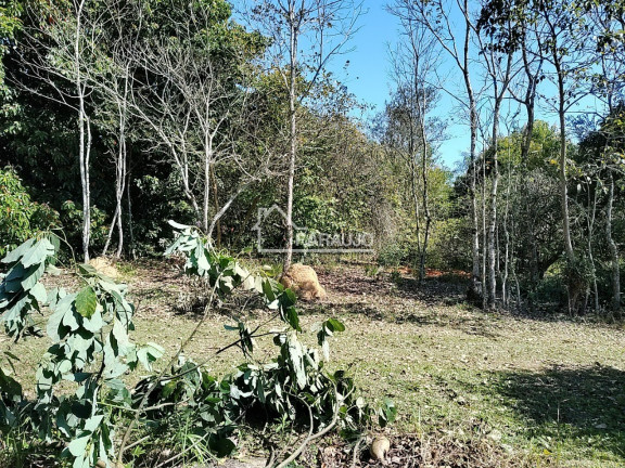 Imagem Imóvel com 3 Quartos à Venda, 30.156 m² em Barra - Salto De Pirapora Imagem Imóvel com 3 Quartos à Venda, 30.156 m² em Barra - Salto De Pirapora