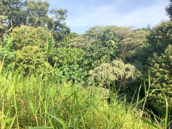 Imagem Terreno à Venda, 674 m² em Chácara Moinho Velho - Carapicuíba Imagem Terreno à Venda, 674 m² em Chácara Moinho Velho - Carapicuíba