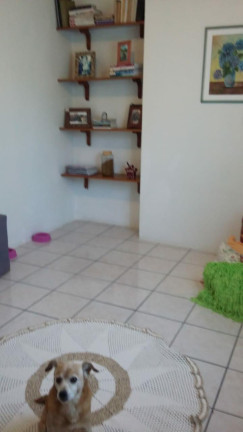 Imagem Casa com 4 Quartos à Venda, em Capão Novo - Capao Da Canoa Imagem Casa com 4 Quartos à Venda, em Capão Novo - Capao Da Canoa