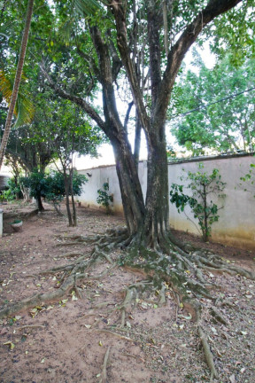 Imagem Apartamento com 2 Quartos à Venda, 79 m² em Vila Leopoldina - São Paulo Imagem Apartamento com 2 Quartos à Venda, 79 m² em Vila Leopoldina - São Paulo