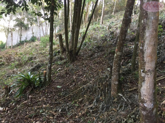 Imagem Terreno à Venda, 1.327 m² em Pilar Velho - Ribeirão Pires