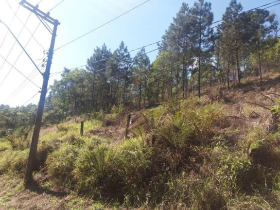Imagem Terreno à Venda, 6.765 m² em Ouro Fino Paulista - Ribeirão Pires