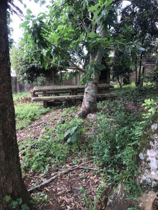 Imagem Terreno à Venda, 700 m² em Morro Alto - Guarapuava Imagem Terreno à Venda, 700 m² em Morro Alto - Guarapuava