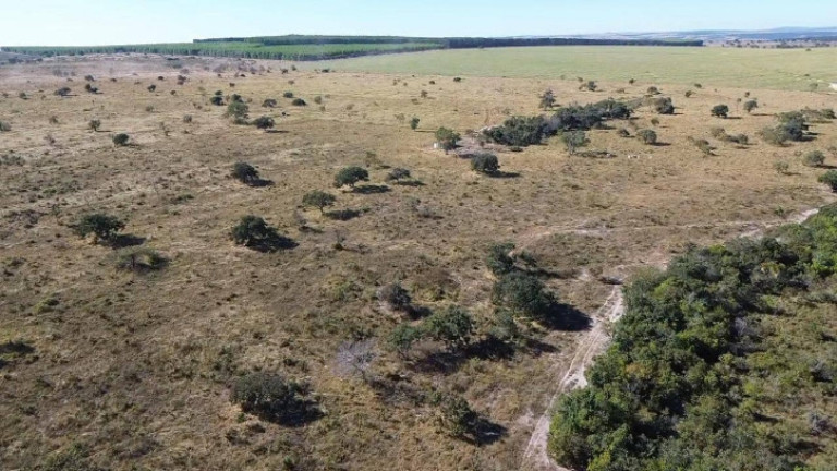 Imagem Fazenda à Venda, 30 m² em Zona Rural - Paraúna