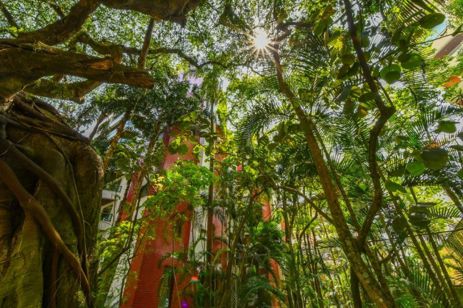 Imagem Apartamento com 4 Quartos à Venda, 152 m² em Real Parque - São Paulo