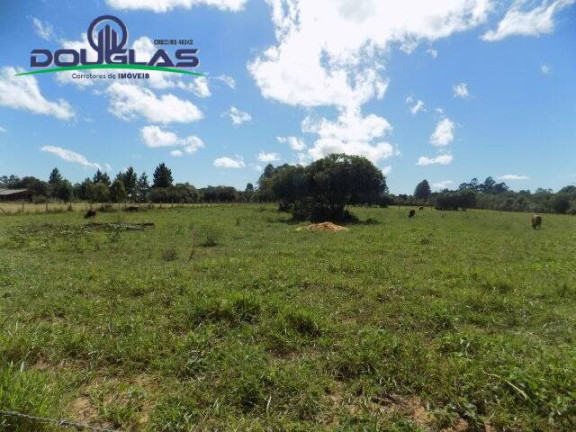 Imagem Terreno à Venda, 1.100 m² em águas Claras - Viamão