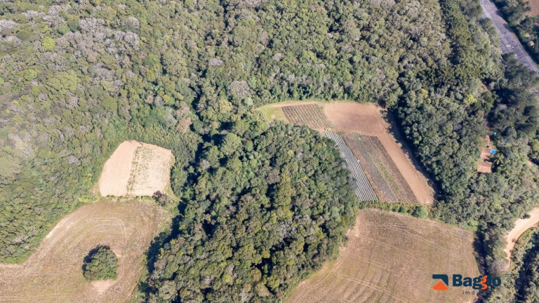 Imagem Imóvel com 1 Quarto à Venda, 56.643 m² em Ferraria - Campo Largo Imagem Imóvel com 1 Quarto à Venda, 56.643 m² em Ferraria - Campo Largo