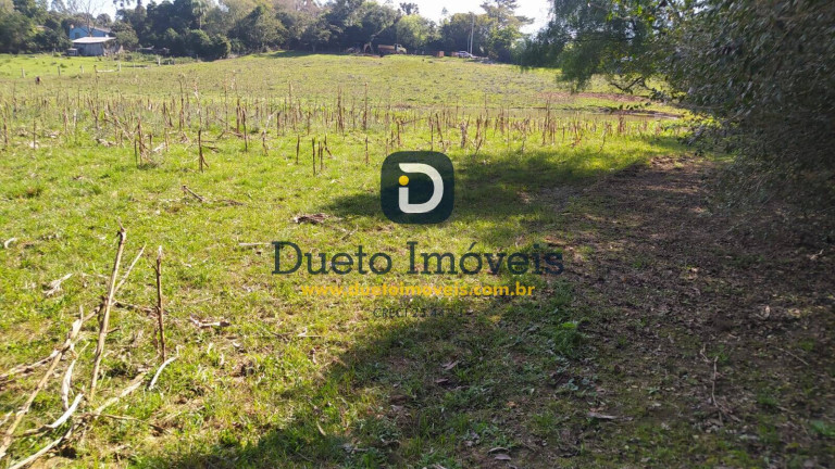 Imagem Chácara à Venda, 3 m² em Zona Rural - São Martinho Da Serra