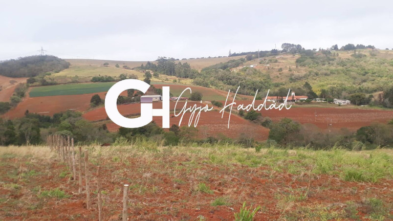 Imagem Chácara à Venda, 5.000 m² em Piedade