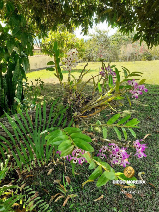 Imagem Terreno à Venda, 2.600 m² em Tanque - Atibaia Imagem Terreno à Venda, 2.600 m² em Tanque - Atibaia