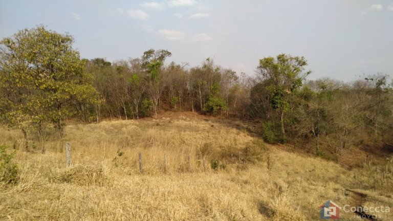 Imagem Terreno à Venda, 700.000 m² em Centro - Presidente Olegário Imagem Terreno à Venda, 700.000 m² em Centro - Presidente Olegário