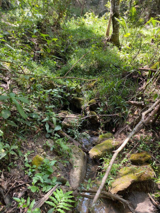 Imagem Terreno à Venda, 3 m² em Santa Terezinha De Minas - Itatiaiuçu Imagem Terreno à Venda, 3 m² em Santa Terezinha De Minas - Itatiaiuçu