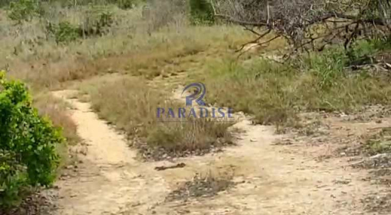 Imagem Terreno à Venda, 1.410.000 m² em Pólo Industrial De Camaçari - Camaçari Imagem Terreno à Venda, 1.410.000 m² em Pólo Industrial De Camaçari - Camaçari