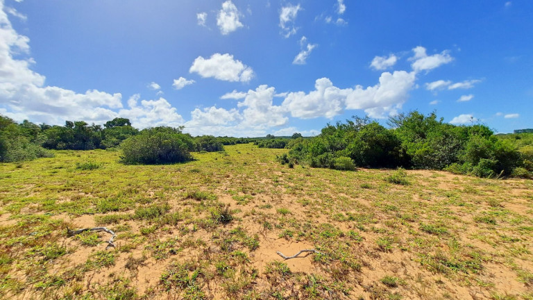Imagem Fazenda à Venda, 900.000 m² em Centro - Viamão Imagem Fazenda à Venda, 900.000 m² em Centro - Viamão
