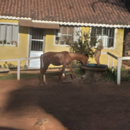 Imagem Chácara com 4 Quartos à Venda, 615 m² em Vila Dom Pedro - Atibaia Imagem Chácara com 4 Quartos à Venda, 615 m² em Vila Dom Pedro - Atibaia