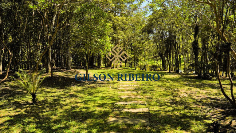 Imagem Terreno à Venda, 600 m² em Rio Do Meio - Camboriú