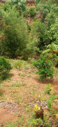 Imagem Chácara à Venda, 30.000 m² em Santa Maria De Marechal - Marechal Floriano