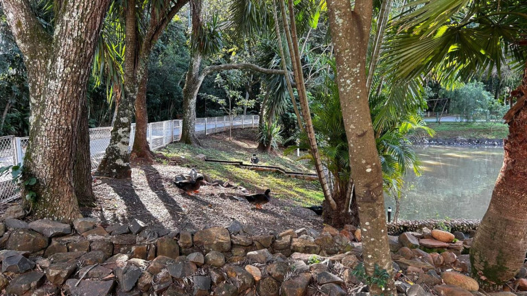 Imagem Terreno à Venda, 1.222 m² em Jardim Ana Cristina - Foz Do Iguaçu
