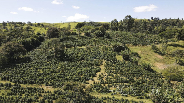 Imagem Fazenda à Venda, 484.000 m² em Zona Rural - Caconde Imagem Fazenda à Venda, 484.000 m² em Zona Rural - Caconde