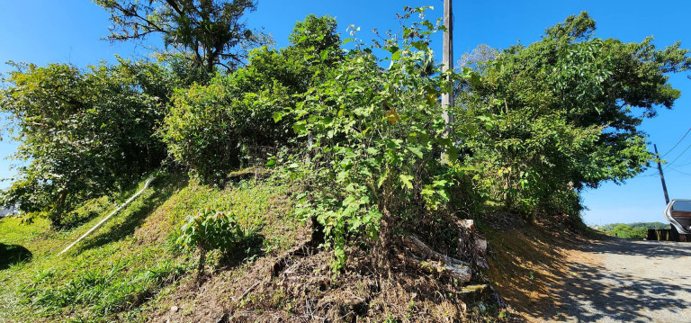 Terreno à Venda, 483 m² em Floresta - Joinville