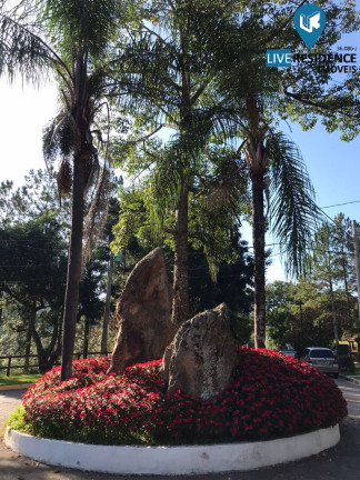 Imagem Terreno em Condomínio à Venda, 298 m² em Loteamento Jardim Das Paineiras - Itatiba Imagem Terreno em Condomínio à Venda, 298 m² em Loteamento Jardim Das Paineiras - Itatiba