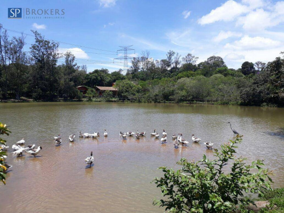 Imagem Casa com 4 Quartos à Venda, 800 m² em Condomínio Clube De Campo Valinhos - Valinhos Imagem Casa com 4 Quartos à Venda, 800 m² em Condomínio Clube De Campo Valinhos - Valinhos