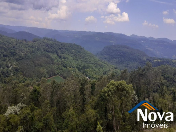 Imagem Imóvel à Venda, em Linha Olinda - Nova Petrópolis Imagem Imóvel à Venda, em Linha Olinda - Nova Petrópolis
