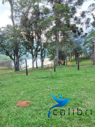 Imagem Chácara com 2 Quartos à Venda, 38.800 m² em Tarumã - Agudos Do Sul Imagem Chácara com 2 Quartos à Venda, 38.800 m² em Tarumã - Agudos Do Sul