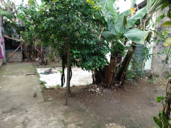 Imagem Casa com 2 Quartos à Venda, 65 m² em Conjunto Residencial Araretama - Pindamonhangaba Imagem Casa com 2 Quartos à Venda, 65 m² em Conjunto Residencial Araretama - Pindamonhangaba