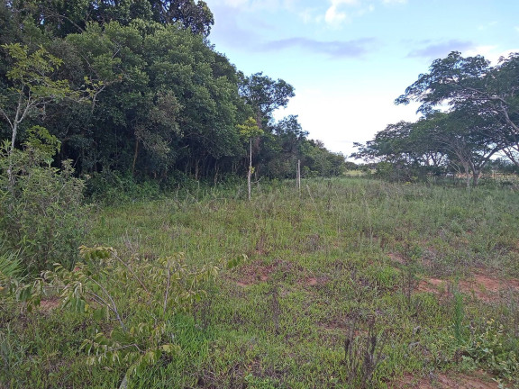 Imagem Chácara à Venda, 20.000 m² em águas Claras - Viamão