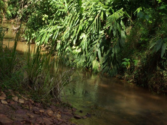 Imagem Imóvel à Venda, 435.600 m² em Zona Rural - Jacui