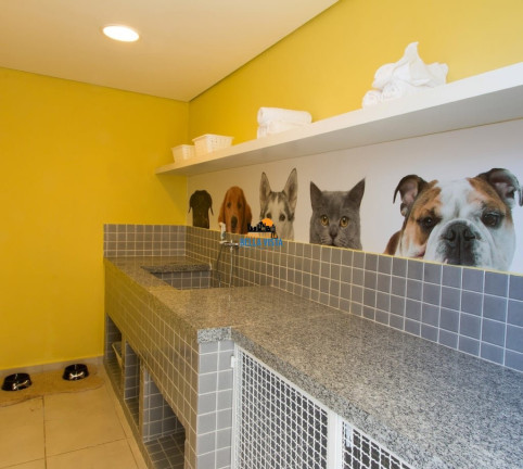 Imagem Apartamento com 2 Quartos à Venda, em Jardim Da Saúde - São Paulo Imagem Apartamento com 2 Quartos à Venda, em Jardim Da Saúde - São Paulo