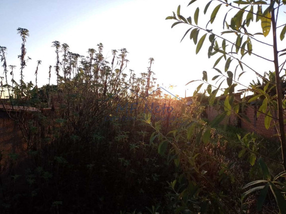 Imagem Terreno à Venda, 279 m² em Jardim Treviso - Pirassununga Imagem Terreno à Venda, 279 m² em Jardim Treviso - Pirassununga