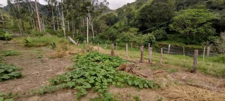 Imagem Chácara com 1 Quarto à Venda, 100 m² em Catuçaba - São Luíz Do Paraitinga Imagem Chácara com 1 Quarto à Venda, 100 m² em Catuçaba - São Luíz Do Paraitinga