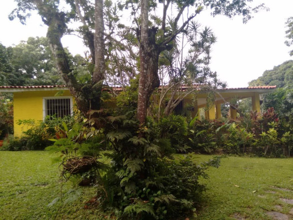 Imagem Chácara com 3 Quartos à Venda, 3.992 m² em Aldeia - Camaragibe Imagem Chácara com 3 Quartos à Venda, 3.992 m² em Aldeia - Camaragibe