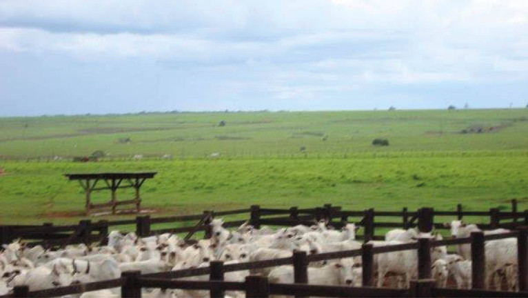Imagem Chácara à Venda, 103.000 m² em Centro - Acorizal Imagem Chácara à Venda, 103.000 m² em Centro - Acorizal