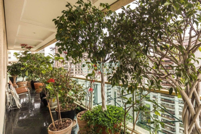 Imagem Apartamento com 4 Quartos à Venda, 550 m² em Jardim Paulistano - São Paulo