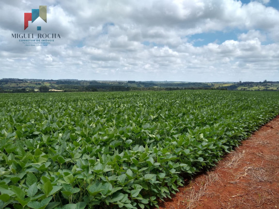 Imóvel à Venda, 484.000 m² em Enxovia - Tatuí