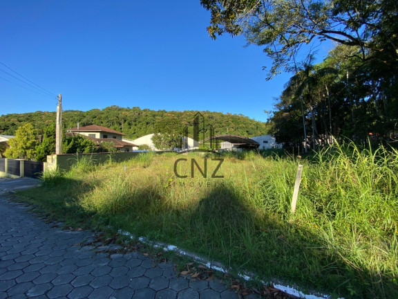 Imagem Terreno à Venda, 478 m² em São Pedro - Brusque Imagem Terreno à Venda, 478 m² em São Pedro - Brusque