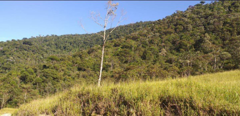 Imagem Fazenda à Venda, 726.000 m² em Tomba - Feira De Santana Imagem Fazenda à Venda, 726.000 m² em Tomba - Feira De Santana