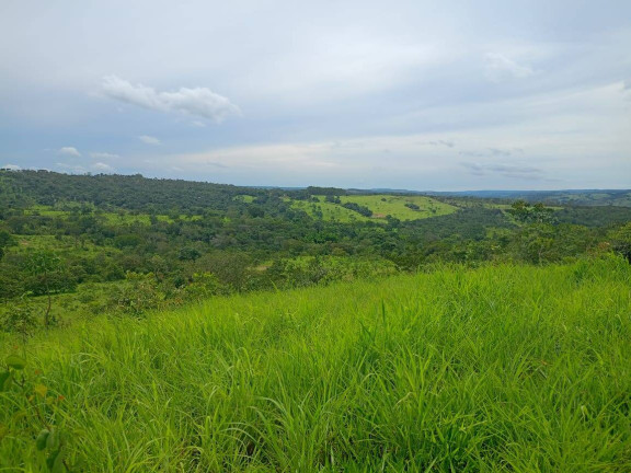 Imagem Fazenda à Venda, 63 m² em Zona Rural - Abadiânia