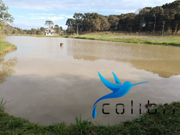 Imagem Chácara à Venda, 13.512 m² em Taquara Lisa - Agudos Do Sul Imagem Chácara à Venda, 13.512 m² em Taquara Lisa - Agudos Do Sul