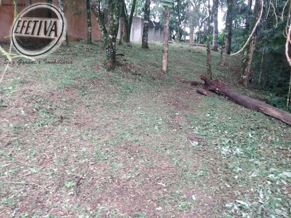 Imagem Terreno à Venda, 495 m² em Santa Felicidade - Curitiba Imagem Terreno à Venda, 495 m² em Santa Felicidade - Curitiba