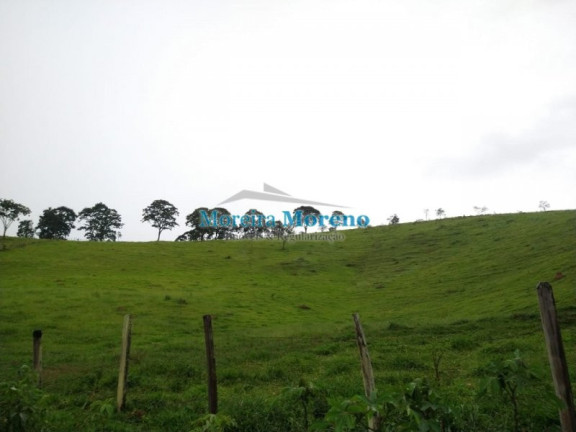 Imagem Imóvel com 1 Quarto à Venda, 11 m² em Zona Rural - Borda Da Mata Imagem Imóvel com 1 Quarto à Venda, 11 m² em Zona Rural - Borda Da Mata