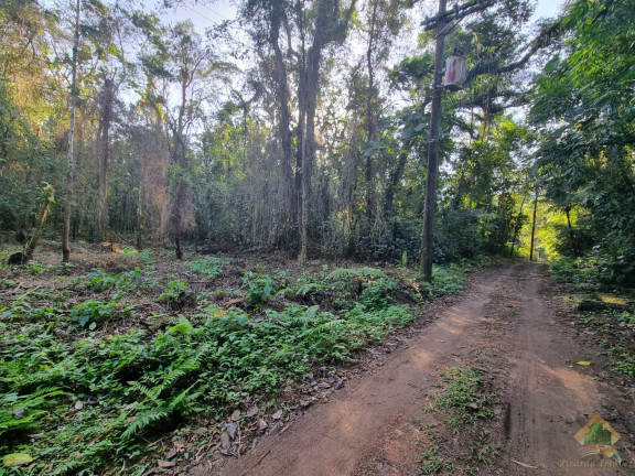 Imagem Terreno à Venda, 7.500 m² em Horto Florestal - Ubatuba